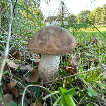 Ataraxia-gledy Guest house