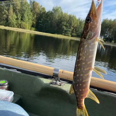 Guest house Ataraxia-gledy