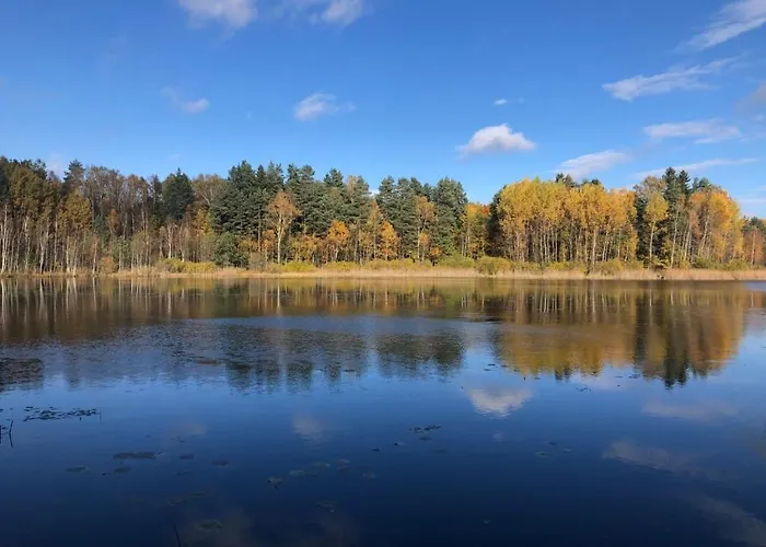 Ataraxia-gledy Łukta