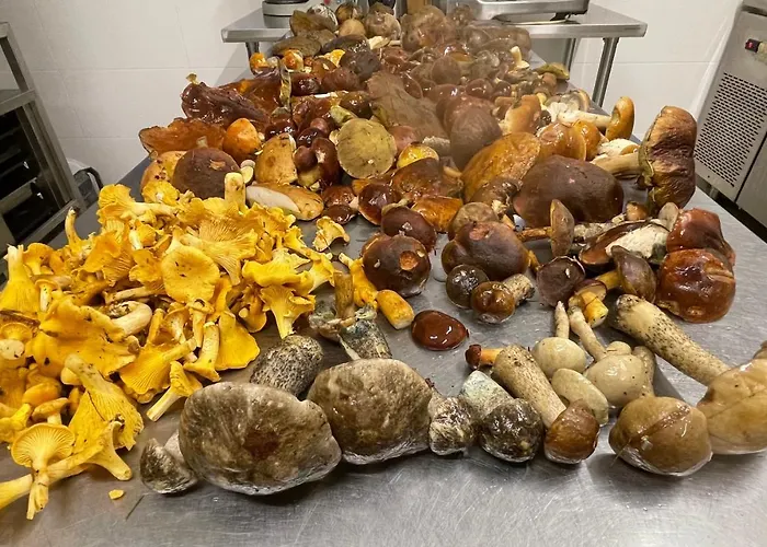 Ataraxia-gledy Łukta